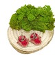 kolczyki soutache Czerwono-beżowe kolczyki sutasz - kolekcja Flora 5