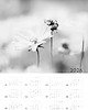 kalendarze i plannery 2026 Kalendarz IV 1