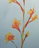 obrazy Akwarela Kwiaty oryginalny obraz niebieski papier 10,5x22 cm 2