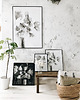 plakaty Wełnianka Eriophorum / print 2