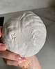 pojemniki na biżuterię Ceramiczna Miseczka na Biżuterię w Kolorowe Ciapki z Muchomorem 4