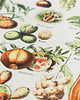 grafiki i ilustracje Grafika Fruits (reprint) 3