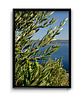 plakaty Plakat Dalmacja no.2 1