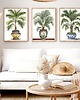 plakaty ZESTAW PLAKATÓW botanicznych palma zielone rośliny 1