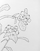 grafiki i ilustracje Rysunek cienkopis Czarne jagody oryginalny 18x26 cm 1