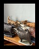 figurki i rzeźby Pies ceramiczny 5
