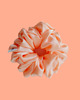 gumki do włosów Gumka jedwabna, scrunchie, frotka peach dew MAXI 3