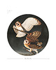 kinkiety Lampa Ścienna - Dots Lighting Owls 5