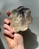 pojemniki na biżuterię Ceramiczna Miseczka Kwiat na Drobiazgi Biżuterię Earth Wonders 3