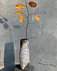 wazony Wazon Frosty Autumn 5