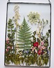 Ozdoby na ścianę Prezent dla Nowożeńców- Botaniczny Obraz 5