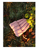 czapki damskie Czapka  beanie z wełną pudrowy róż 1