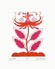 grafiki i ilustracje Grafika  Flower 1
