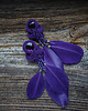 kolczyki soutache Fioletowe boho kolczyki soutache z piórkami 3