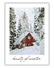 plakaty Plakat Beauty of Winter 2