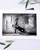 fotografia Fotografia z Passe-Partout; I'm Happy Again 2