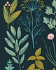 plakaty Plakat botaniczny "Herbs" 30x40 7