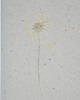kartki okolicznościowe - wydruki Kartka okolicznościowa - papier czerpany 4