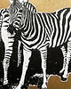 grafiki i ilustracje Linoryt "Zebry" 3