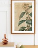 grafiki i ilustracje PLAKAT botaniczny vintage, kawa arabica,kwiaty grafika, rysunek kwiaty 2