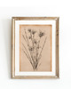 grafiki i ilustracje ZESTAW 8 PLAKATÓW beżowe botaniczne vintage 6