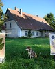 Ozdoby na ścianę Ręcznie tkany kilim - wełniana makatka - cykl BLISKOŚĆ - PLECY 5
