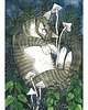 kartki okolicznościowe - wydruki Pokrzywowy Kot - baśniowa pocztówka A6, 10,5 x 14,8 cm 2