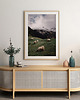 plakaty Plakat SHEEPS 1