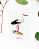 plakaty Plakat BOCIAN 3