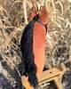 zabawki - inne Hobby horse A3 gniady koń na kiju 2