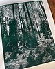 grafiki i ilustracje Duży linoryt "Ciemny las" - wersja ciemna zieleń 1