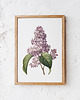 plakaty Plakat Bez  vintage  1