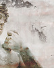 tapety i naklejki ścienne Tapeta/ Mural "Dawid" 2