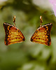 kolczyki z żywicy Kolczyki bursztynowe motyle Charaxes bernardus 2