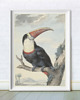 plakaty PLAKAT vintage ilustracja grafika flaming 4