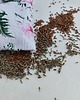 opaski na oczy Poduszeczka relaksacyjna z siemieniem lnianym i lawendą 4