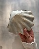 pojemniki na biżuterię Ceramiczna muszla na obrączki, kolczyki, palo santo i drobne pamiątki 8