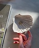 pojemniki na biżuterię Podstawka na Biżuterię Palo Santo Ceramiczna Muszelka Konfetti 1