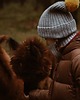 niemowlak - inne Pompon wełniany do czapek YYY - Wybór kolorów 2
