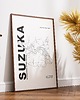 plakaty Plakat Tory wyścigowe - Suzuka 2