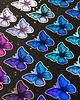 naklejki i wlepy Motyl holo - naklejka 1