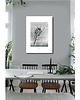 plakaty Protea  print 50x70 cm 2