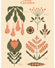 plakaty Atlas Cycoides x print 2
