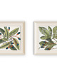 grafiki i ilustracje 2 grafiki botaniczne vintage plakaty roślinne 2