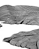 grafiki i ilustracje Fiordy / Norwegia  / zestaw 3 grafik 2