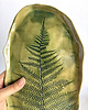 patery i talerze Patera z kolekcji FERN, patera natura, paproć 1