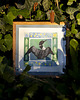 grafiki i ilustracje Print 17x17 cm NUR LODOWIEC 1