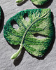 naszywki na ubrania Naszywka termo przylepna Monstera zielona 3