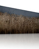 obrazy OBRAZ NA PŁÓTNIE -PEJZAŻ- ŁANY ZBÓŻ 150x60cm 1