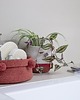 pojemniki na zabawki Kosz Basket Tray Brick Red 4